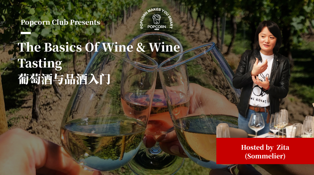 The Basics Of Wine & Wine Tasting