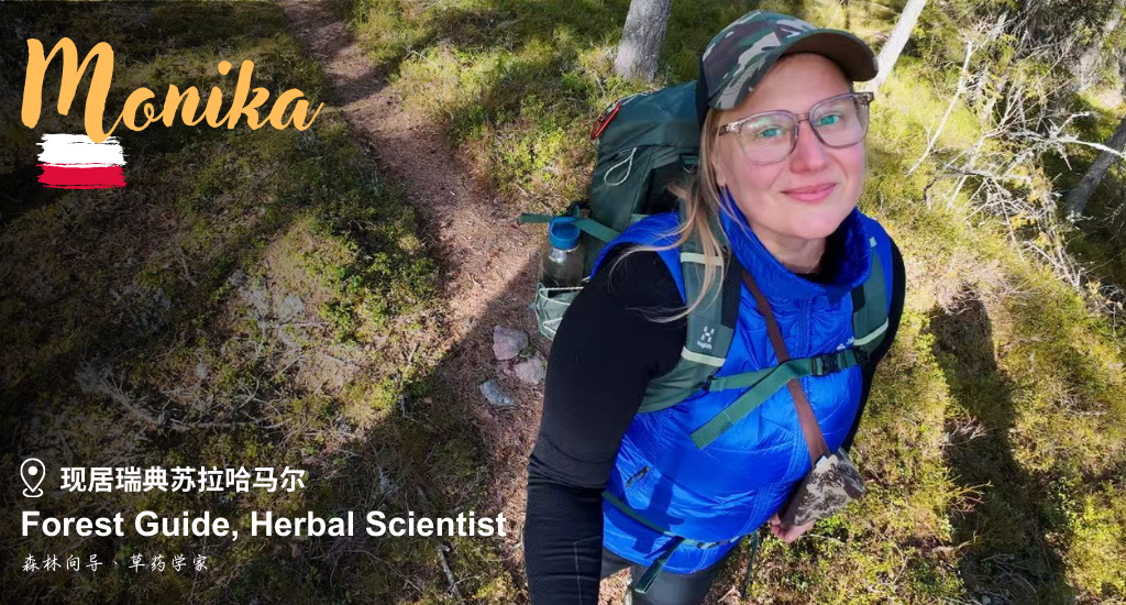 Banner for The Swedish Way To Balance: Small Rituals, Calmer Life 